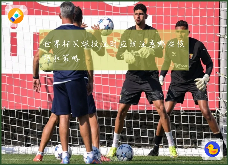 世界杯买球投注时应该注意哪些技巧和策略