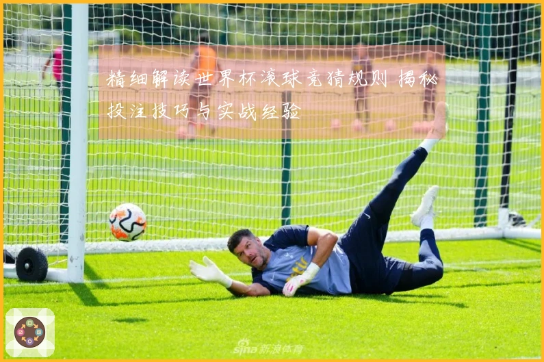 精细解读世界杯滚球竞猜规则 揭秘投注技巧与实战经验