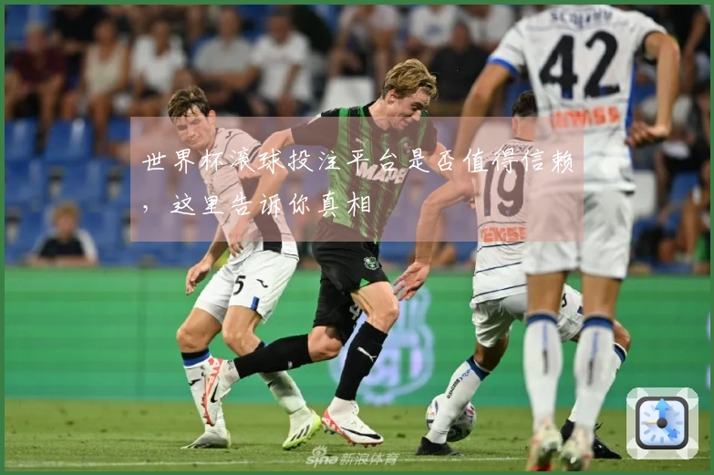 世界杯滚球投注平台是否值得信赖，这里告诉你真相