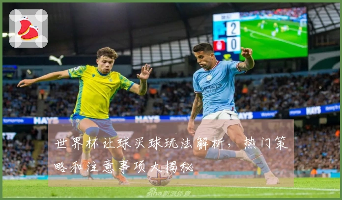 世界杯让球买球玩法解析,热门策略和注意事项大揭秘