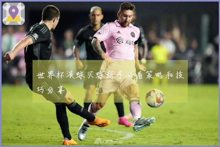 世界杯滚球买球新手必看策略和技巧分享