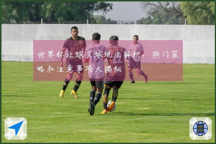 世界杯让球买球玩法解析，热门策略和注意事项大揭秘