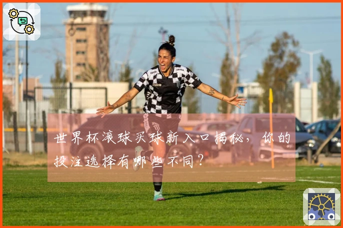 世界杯滚球买球新入口揭秘，你的投注选择有哪些不同？