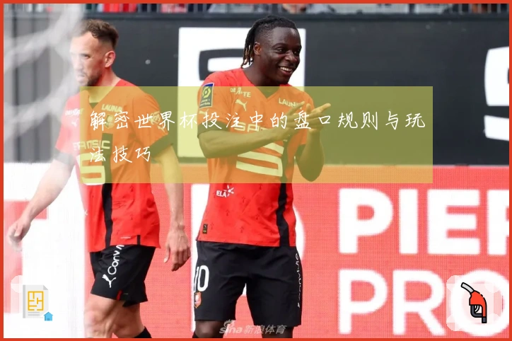 解密世界杯投注中的盘口规则与玩法技巧