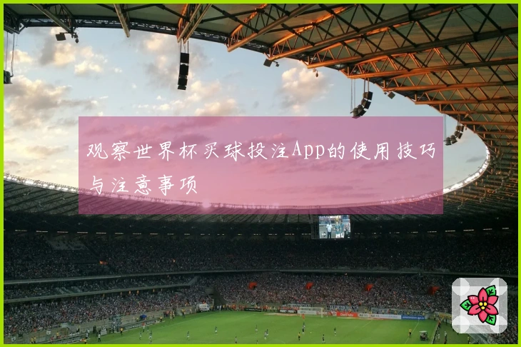 观察世界杯买球投注App的使用技巧与注意事项
