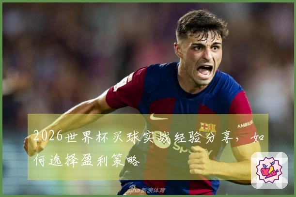 2026世界杯买球实战经验分享，如何选择盈利策略