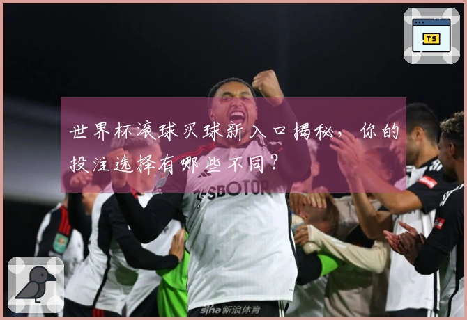 世界杯滚球买球新入口揭秘，你的投注选择有哪些不同？