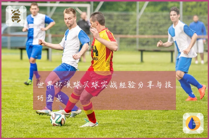 世界杯滚球买球实战经验分享与技巧盘点