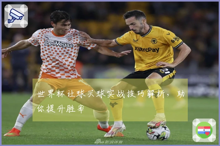 世界杯让球买球实战技巧解析，助你提升胜率