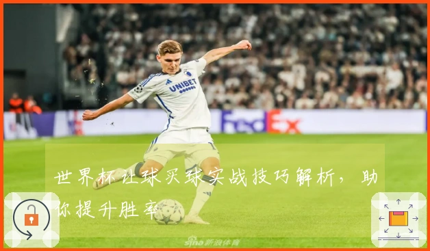 世界杯让球买球实战技巧解析，助你提升胜率