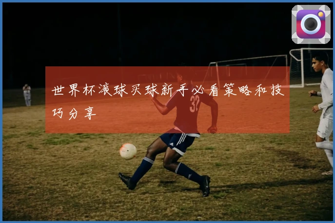 世界杯滚球买球新手必看策略和技巧分享
