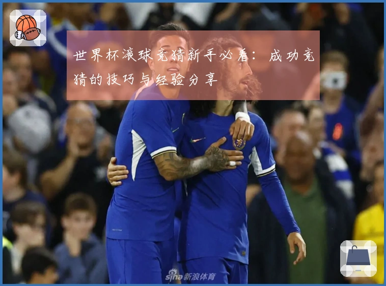 世界杯滚球竞猜新手必看：成功竞猜的技巧与经验分享